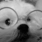 Kristine Hackett Photo 9