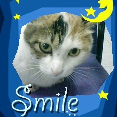 Sophia Cheng Photo 23