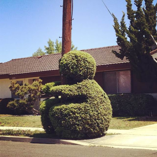 Cynthia Chou Photo 23