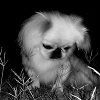 Julie Mcnab Photo 11