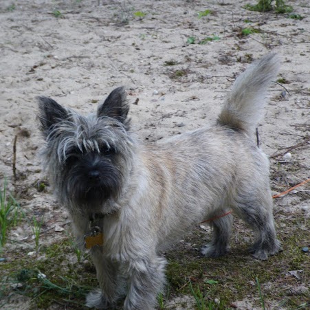 Katherine Metcalf Photo 15