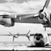 Douglas Kerns Photo 5
