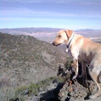 Dusty Hunt Photo 8
