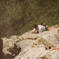 Catherine Hovey Photo 3