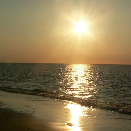 Laura Morse Photo 33 Laura Morse Photo 33