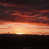 Robin Ross Photo 44 Robin Ross Photo 44