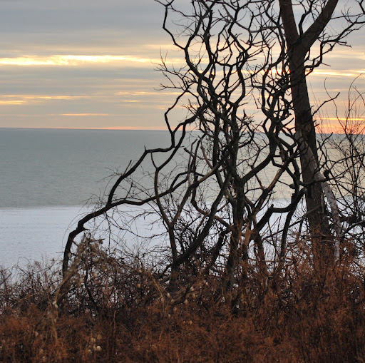 Shannon Dobbs Photo 4