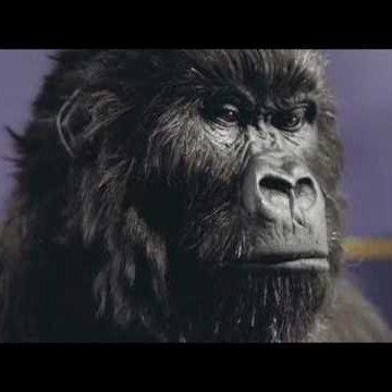 Adam Rogers Photo 27