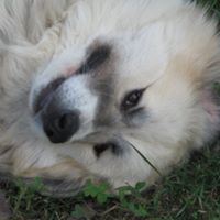 Sue Clausen Photo 8