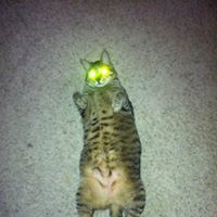 Jill Bonner Photo 10