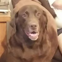 Kenneth Burns Photo 50