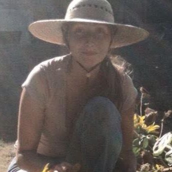 Melissa Shields Photo 18