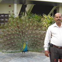 Muhammed Rasheed Photo 2