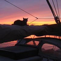 Elizabeth Miles Photo 10 Elizabeth Miles Photo 10