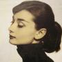 Norma Alarcon Photo 6