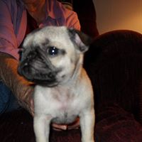 Linda Bagwell Photo 30