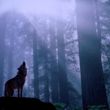 Penny Henderson Photo 41