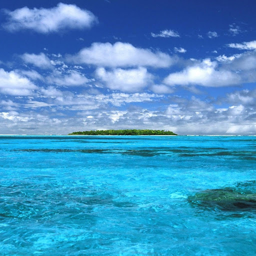 Pedro Martinez Photo 24