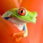 Kurt Webster Photo 23