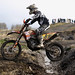 Mark Abrams Photo 9