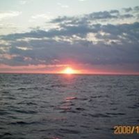 Crystal Kelly Photo 48