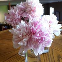 Jan Pfeifer Photo 22