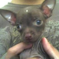 Marcus Resendiz Photo 2