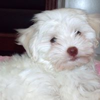 Claudia Espinoza Photo 33