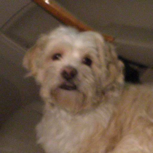 Terry Fitzpatrick Photo 28