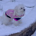Tiffany Snow Photo 35