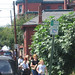 James Spinelli Photo 31