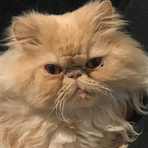 Susan Horvath Photo 33