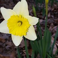 Ann Washington Photo 46