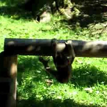 Harry Weber Photo 23 Harry Weber Photo 23