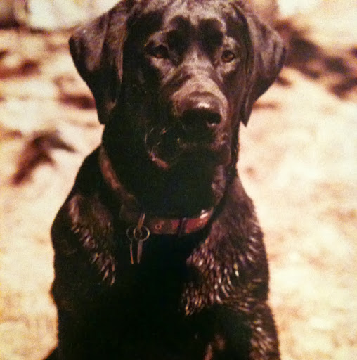 Jeffrey Roach Photo 16