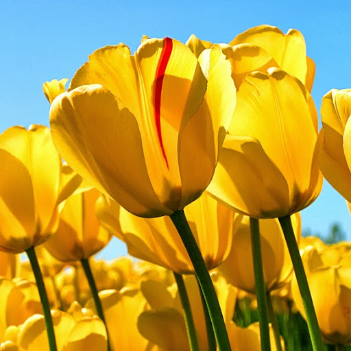 Barbara Buckley Photo 36