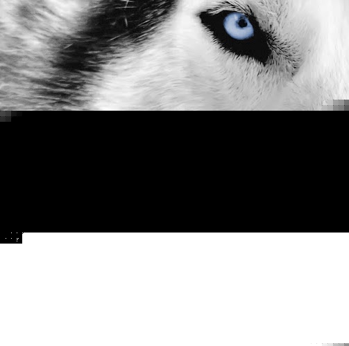 Joseph Wolfe Photo 53 Joseph Wolfe Photo 53