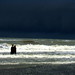 Wade Cox Photo 6