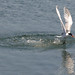 Quang Bui Photo 10