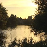 Cynthia Mcloughlin Photo 14