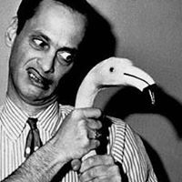 Elizabeth Maloney Photo 34