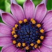 Katherine Atkins Photo 13