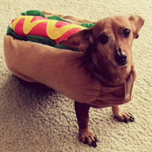 Michelle Alexander Photo 7