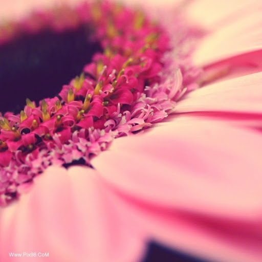 Julie Weinberg Photo 18