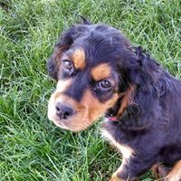 Kristine Boyd Photo 9