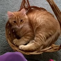 Sara Walter Photo 44