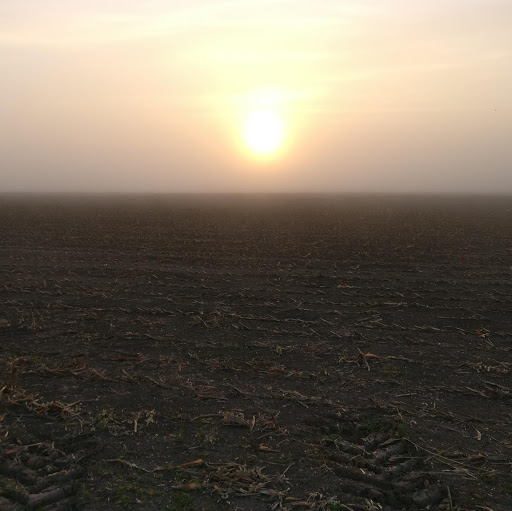 Robert Brink Photo 39