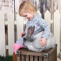 Stacy Redding Photo 7