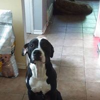 Kevin Mathes Photo 15