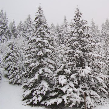 Kevin Patterson Photo 26 Kevin Patterson Photo 26